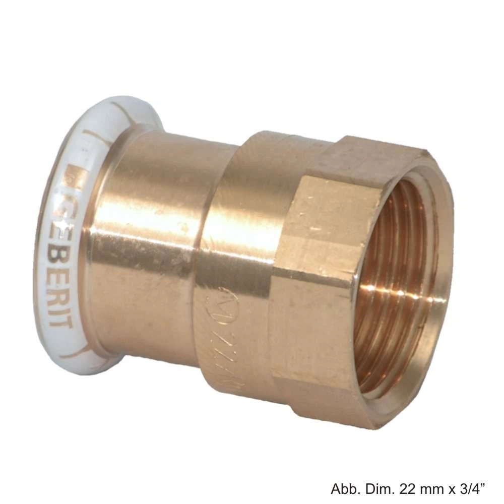 Θηλικός Προσαρμογέας